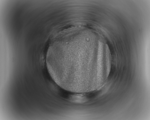 X0000095950086200801251138