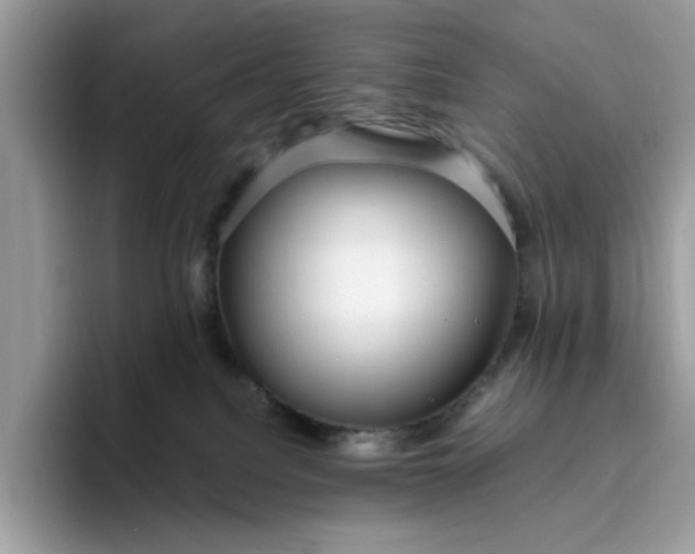 X0000095950088200801251138