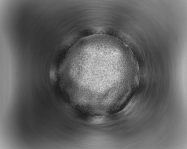 X0000095950090200801251138