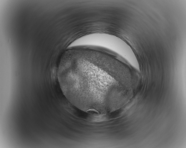 X0000095950093200801251139