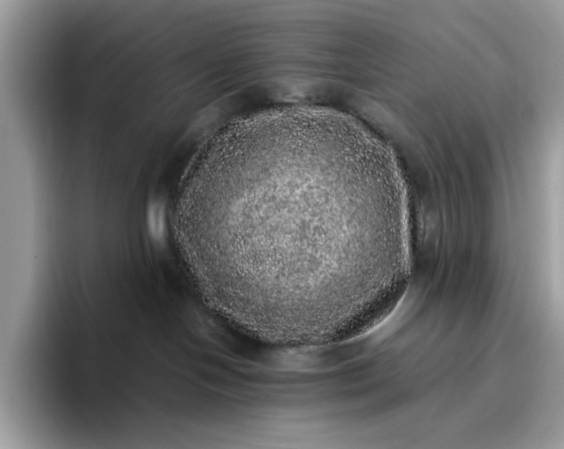 X0000095950094200801251139