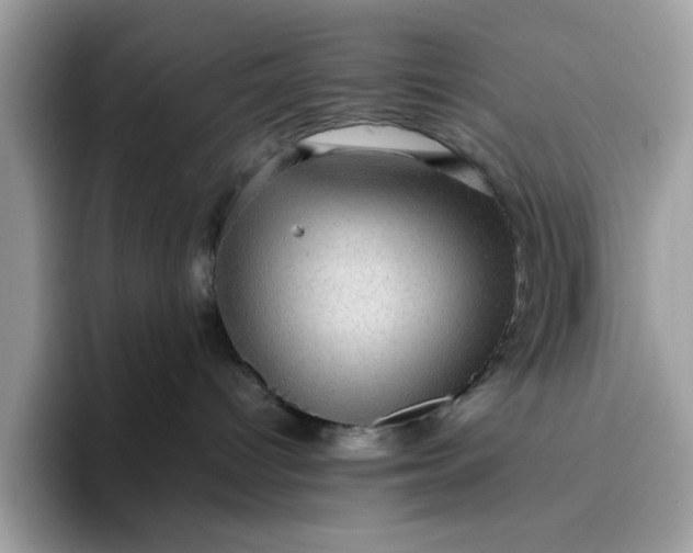 X0000095950096200801251139