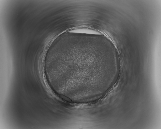 X0000095950097200801251138