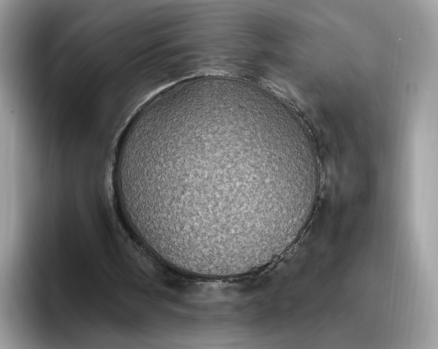 X0000095950098200801251138