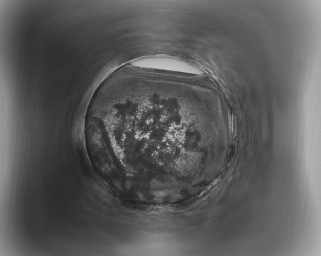 X0000095950099200801251138