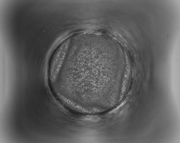 X0000095950101200801251138