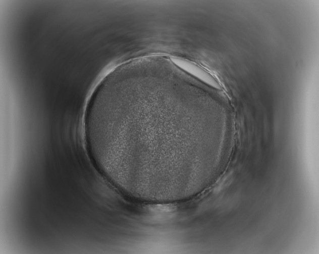 X0000095950102200801251138