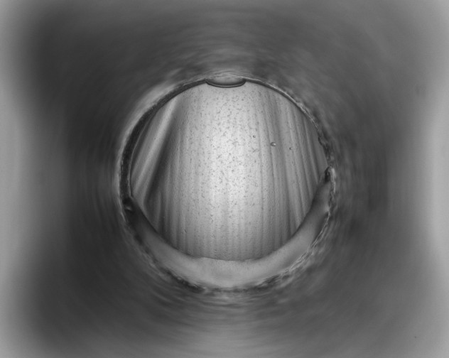 X0000095950104200801251138