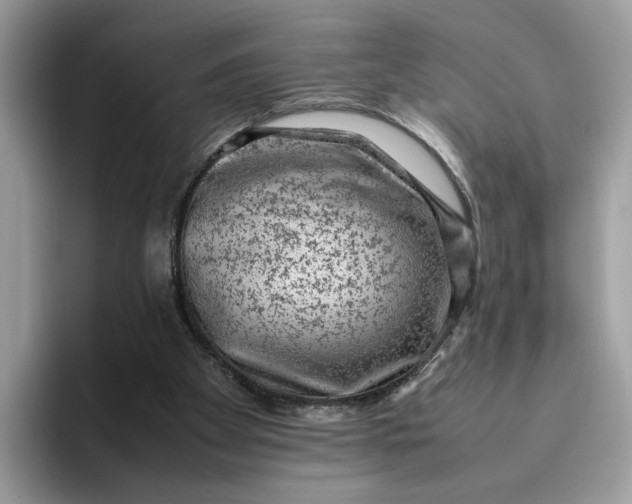 X0000095950105200801251138