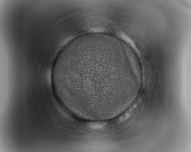 X0000095950106200801251138