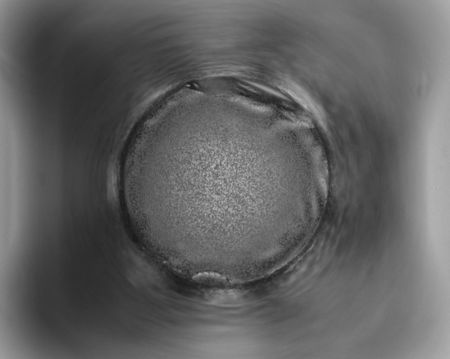 X0000095950107200801251138