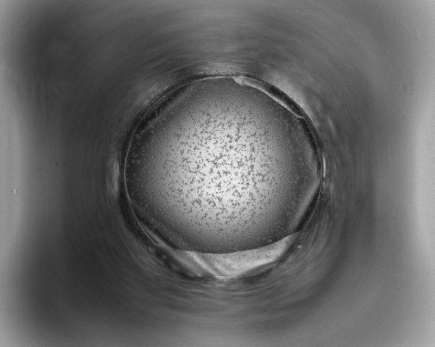 X0000095950109200801251138