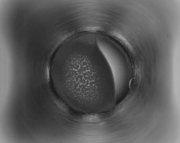 X0000095950110200801251138