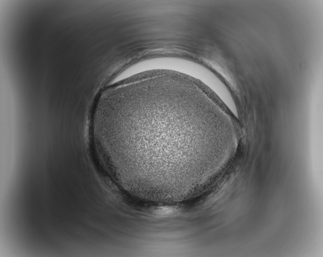 X0000095950111200801251138