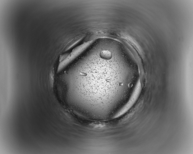 X0000095950113200801251138