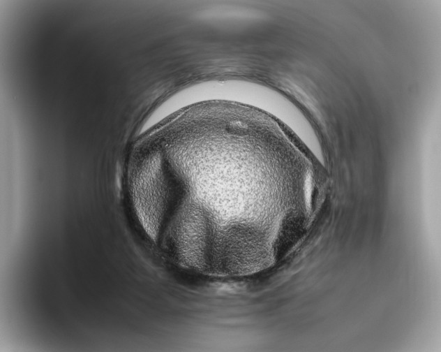 X0000095950115200801251138