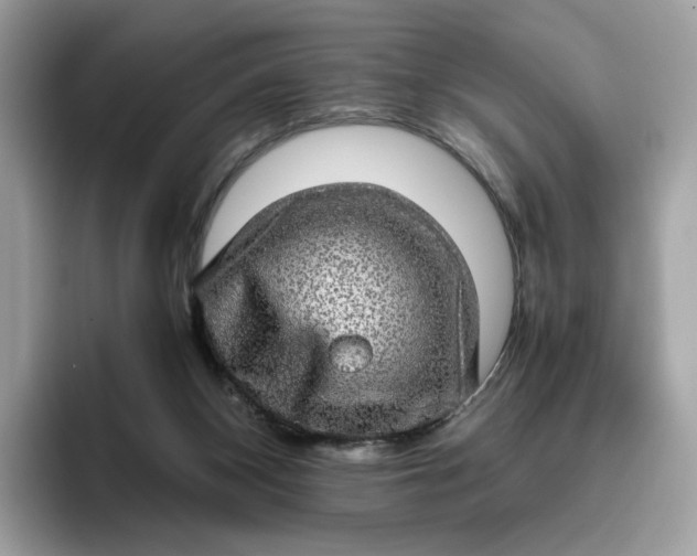 X0000095950116200801251138