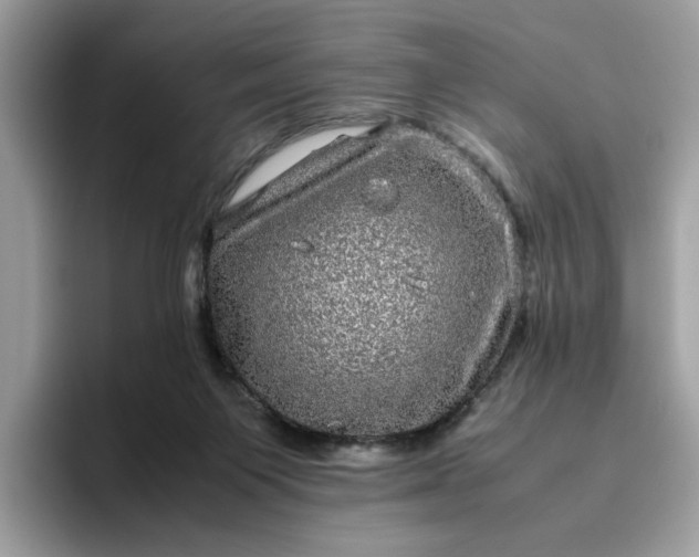 X0000095950119200801251138