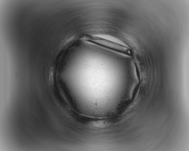 X0000095950120200801251138