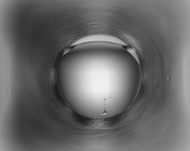 X0000095950121200801251138