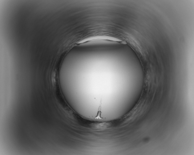 X0000095950122200801251138