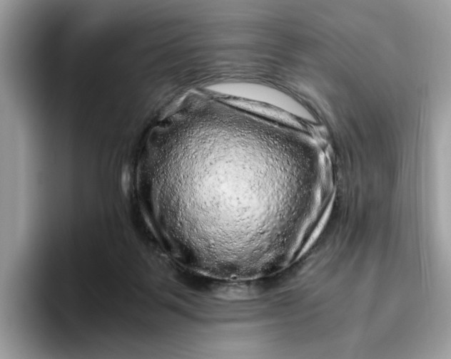 X0000095950123200801251138