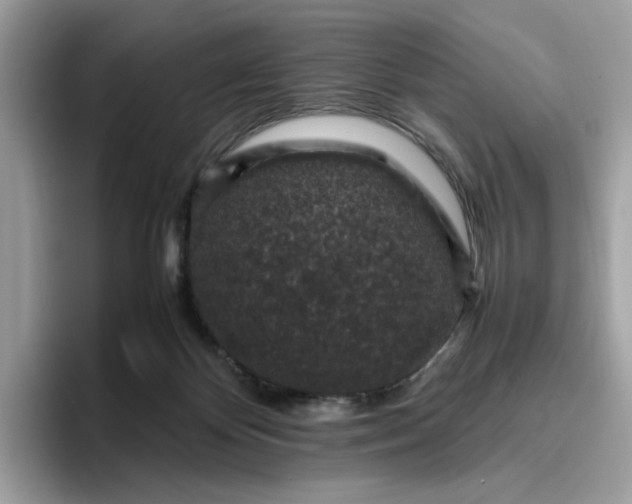 X0000095950124200801251138