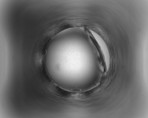 X0000095950125200801251138