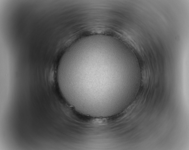 X0000095950126200801251138