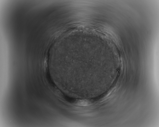 X0000095950127200801251138