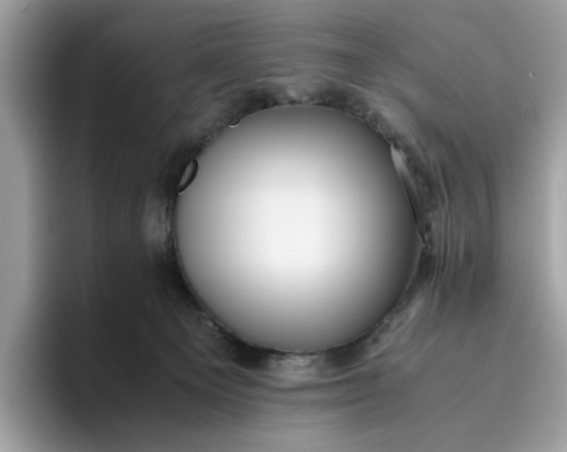 X0000095950129200801251138