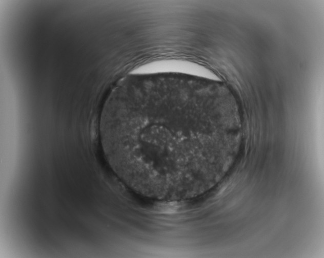 X0000095950131200801251137