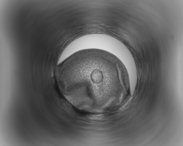 X0000095950132200801251137