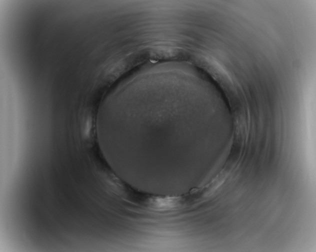 X0000095950134200801251137