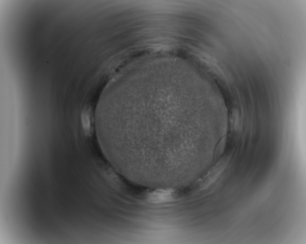 X0000095950138200801251137