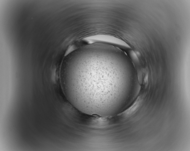 X0000095950140200801251137