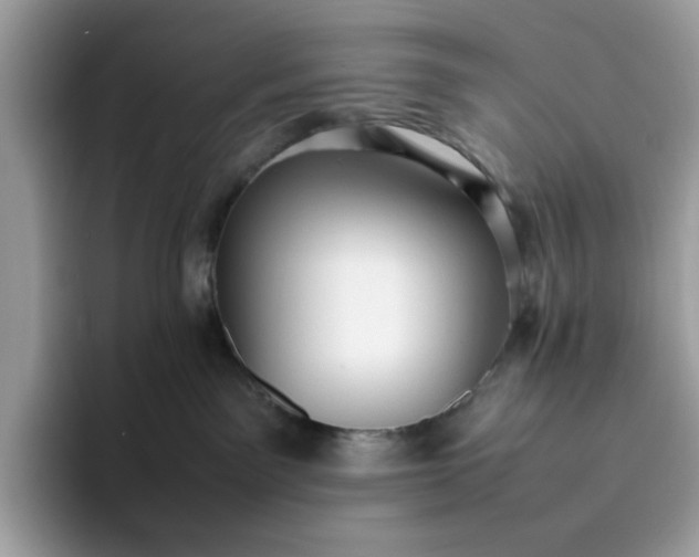 X0000095950141200801251137