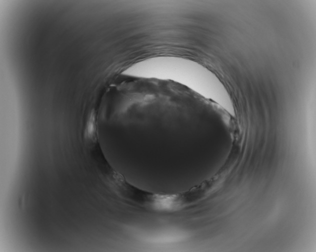 X0000095950143200801251137