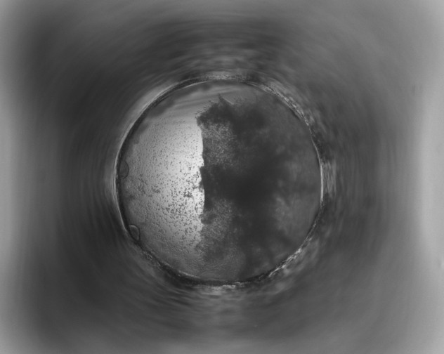 X0000095950147200801251137