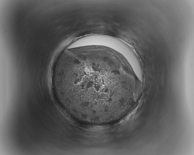 X0000095950149200801251137