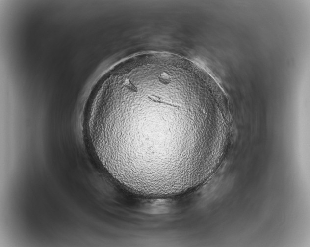 X0000095950151200801251137