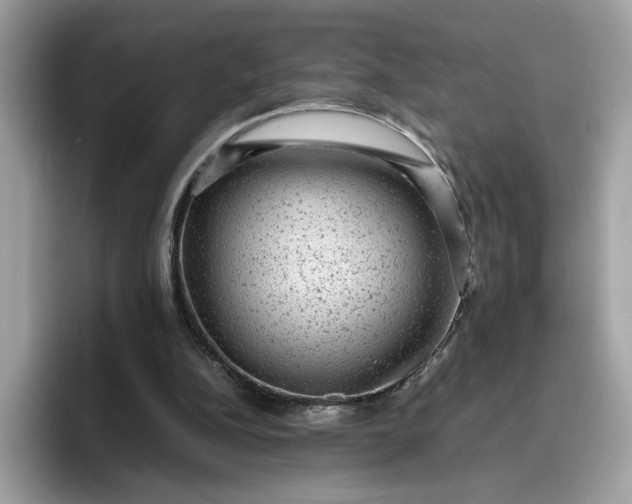 X0000095950152200801251137