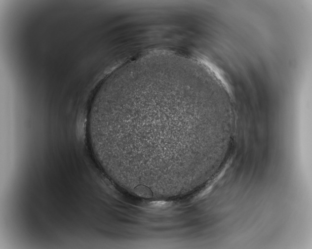 X0000095950153200801251137