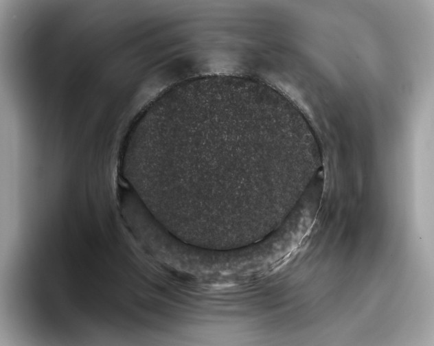 X0000095950154200801251137