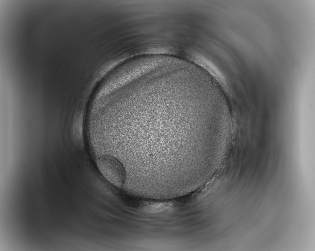 X0000095950155200801251137