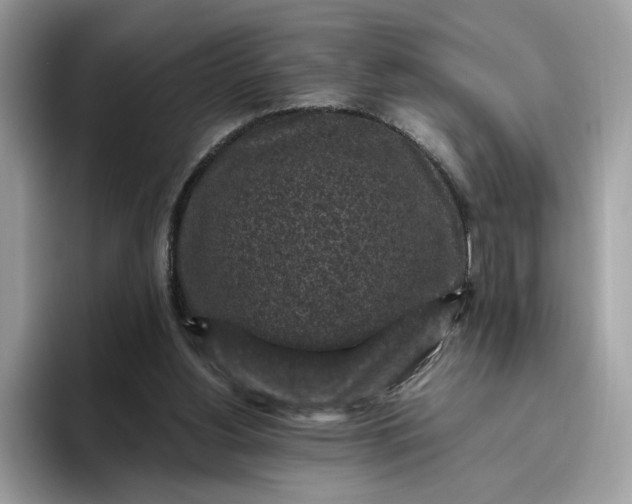 X0000095950156200801251137