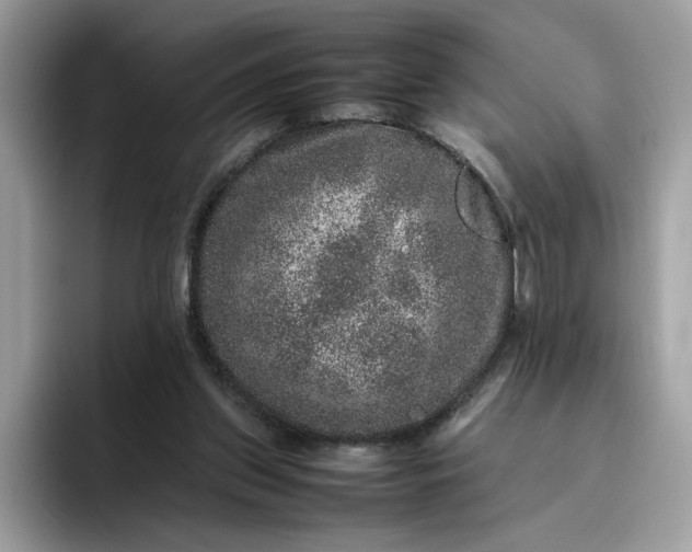 X0000095950157200801251137