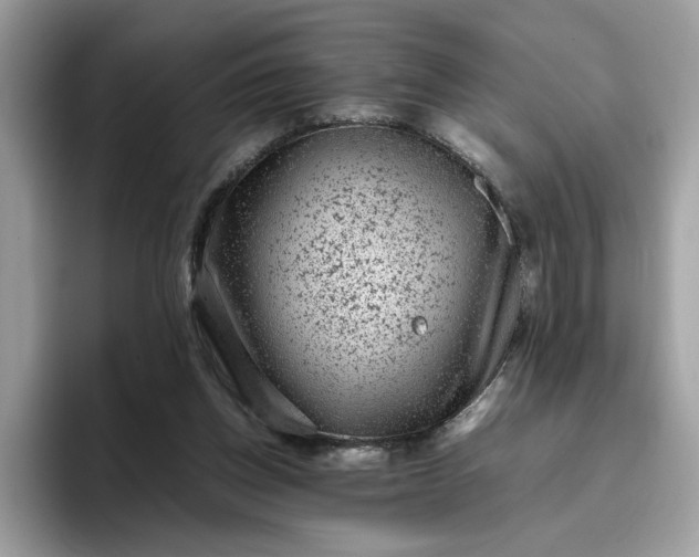 X0000095950158200801251137