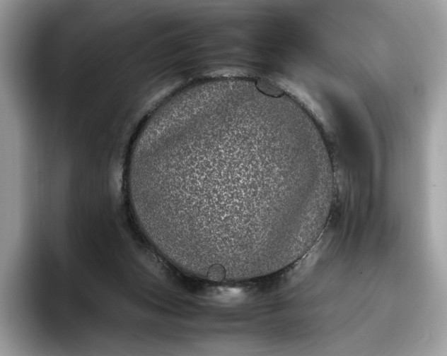 X0000095950159200801251137