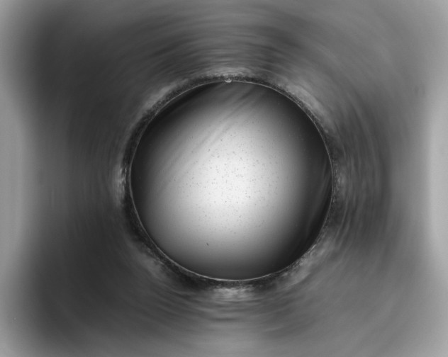 X0000095950160200801251137